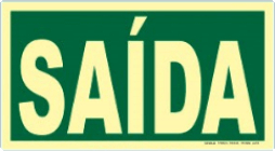 PLACA FOTOLUMINESCENTE FACE DUPLA 32X50 cm 